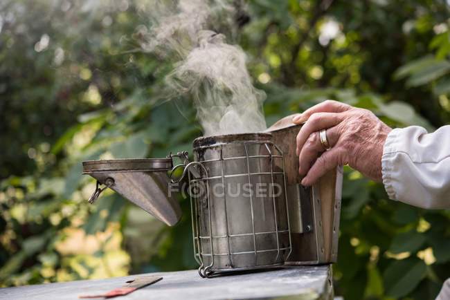 Beekeeper smoking bees away from hive in apiary garden — Stock Photo