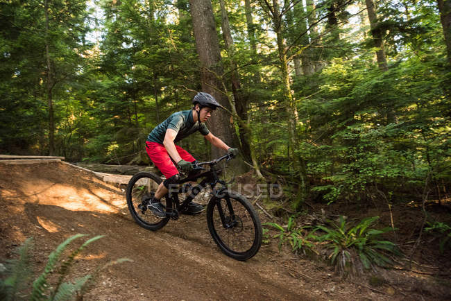 Male cyclist cycling in forest on a sunny day — Stock Photo