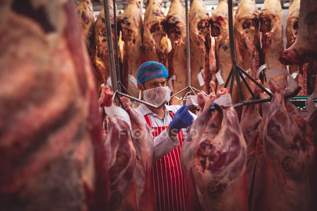 Carniceiro colando adesivos de código de barras na carne vermelha na sala de armazenamento no açougue — Fotografia de Stock