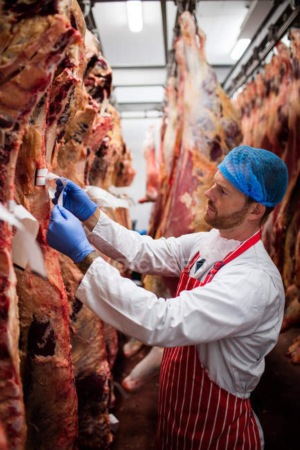 Butcher putting a tags on the red meat hanging in storage room at butchers shop — Stock Photo