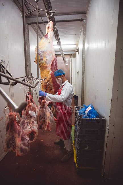 М'ясник висить червоне м'ясо в сховищі в м'ясному магазині — стокове фото