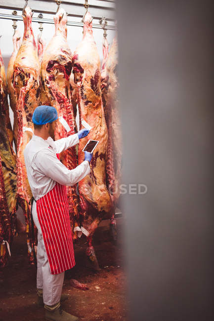 Boucher dans la salle de stockage en utilisant une tablette numérique tout en vérifiant les autocollants de code-barres sur la viande — Photo de stock