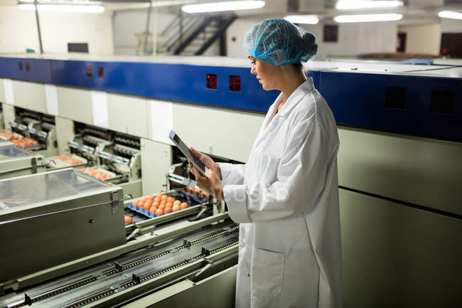 Жіночий персонал використовує цифровий планшет поруч з виробничою лінією на яєчному заводі — стокове фото