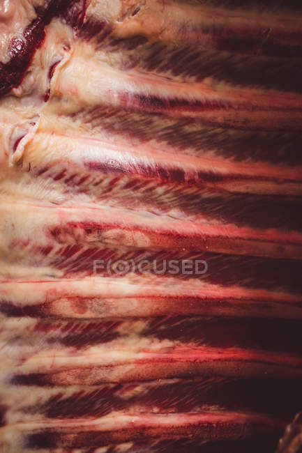 Close-up da caixa torácica de carne bovina no talho — Fotografia de Stock