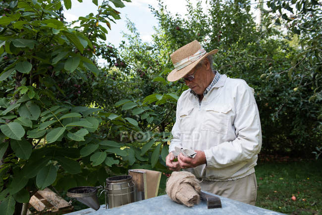 Attento apicoltore che lavora nel giardino dell'apiario — Foto stock