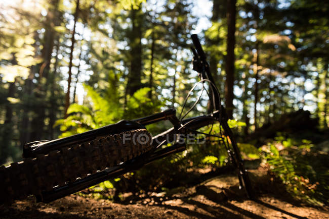 Close-up de bicicleta esportiva na floresta à luz do sol — Fotografia de Stock