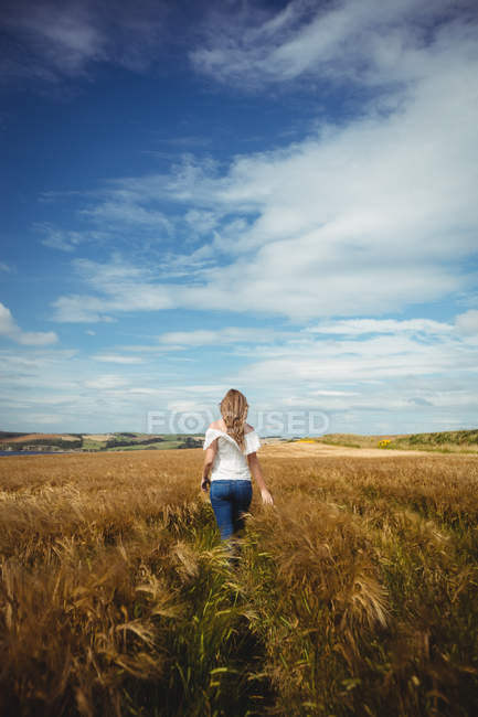Вид ззаду жінки, що йде через пшеничне поле в сонячний день — стокове фото