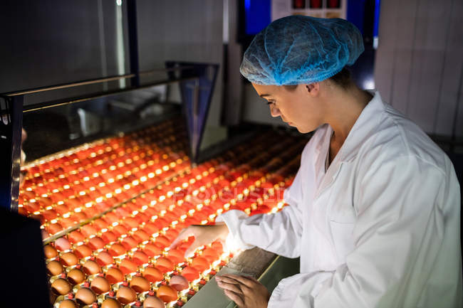 Female staff examining eggs quality in lighting control in egg factory — Stock Photo