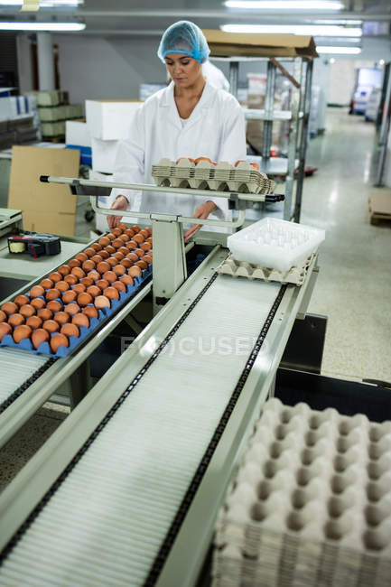 Attentive female staff working in factory — Stock Photo
