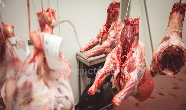 Carne vermelha descascada pendurada na arrecadação do talho — Fotografia de Stock