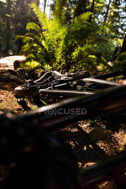 Close-up de detalhe de bicicleta na floresta à luz do sol — Fotografia de Stock