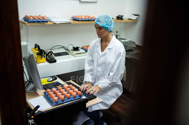 Personale femminile che lavora al computer nella fabbrica di uova — Foto stock