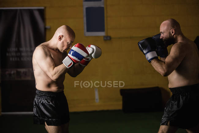 Вид сбоку двух тайских боксеров, тренирующихся в спортзале — стоковое фото