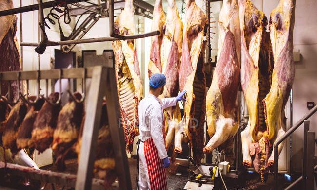 Açougueiro examinando a carne vermelha pendurada na sala de armazenamento no açougue — Fotografia de Stock