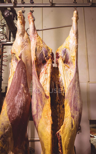 Geschältes rotes Fleisch hängt in der Abstellkammer der Metzgerei — Stockfoto