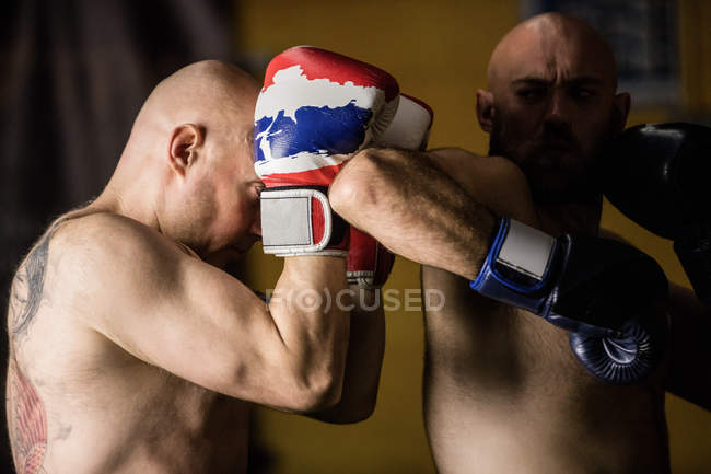 Портрет тайских боксеров, практикующих бокс в спортзале — стоковое фото