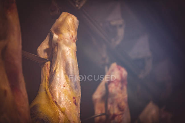 Красное мясо висит на складе в мясной лавке. — стоковое фото