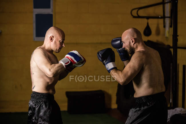 Вид збоку на двох м'язистих тайських боксерів, які практикують у спортзалі — стокове фото