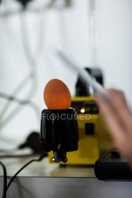 Huevo en monitor de huevo digital para pruebas en fábrica de huevos - foto de stock