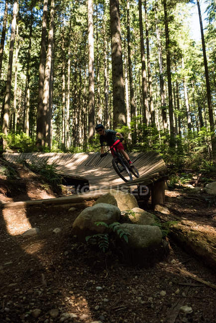 Joven ciclista masculino en bicicleta en el bosque a la luz del sol - foto de stock