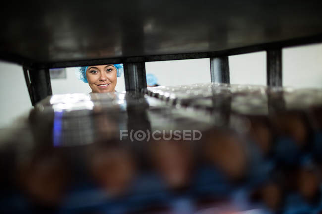 Female staff looking through egg shelf in egg factory — Stock Photo