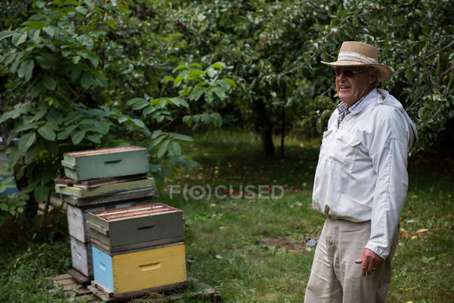 Apicoltore sorridente in piedi nel giardino dell'apiario — Foto stock