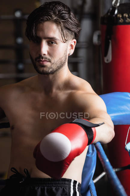 Portrait of boxer in boxing glove leaning on ropes of boxer ring — Stock Photo