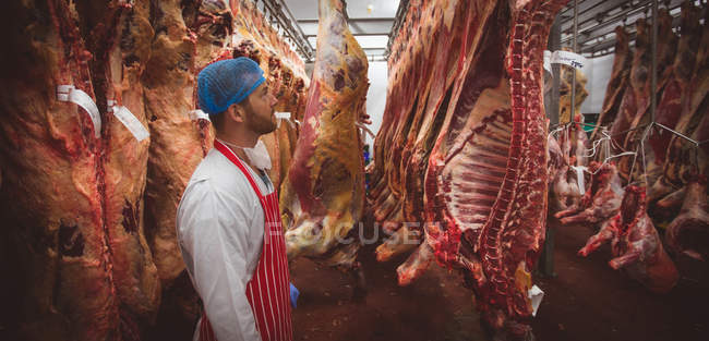 Macellaio guardando la carne rossa appesa nel magazzino della macelleria — Foto stock