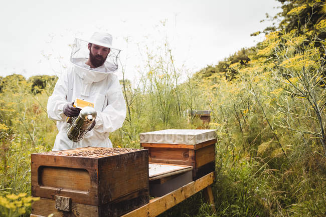 Apicoltore che utilizza l'apicoltore in campo — Foto stock
