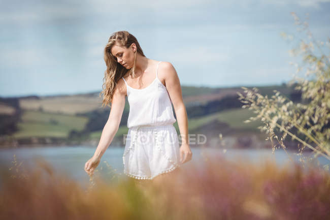 Selective focus of Beautiful woman touching wheat in field — Stock Photo