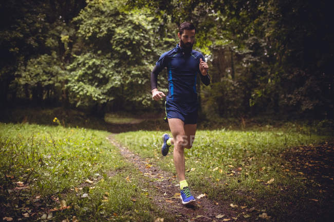 Atleta corriendo en pista de tierra en el bosque - foto de stock