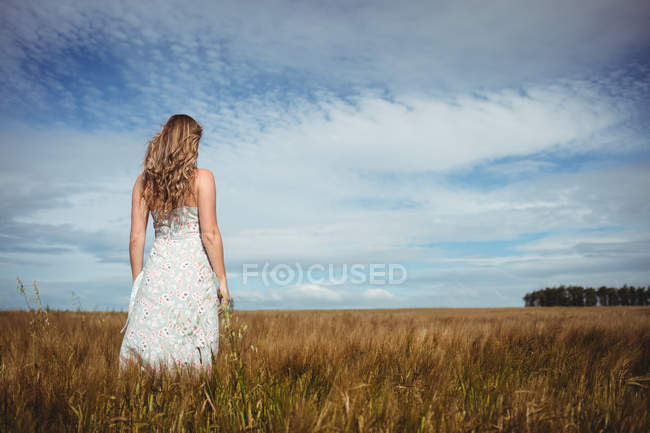 Vista trasera de la mujer de pie en el campo de trigo en el día soleado - foto de stock