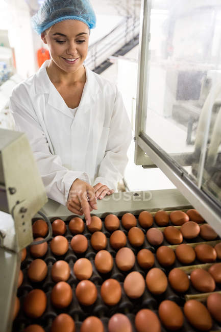 Personal femenino examinando huevos en cinta transportadora en fábrica de huevos - foto de stock