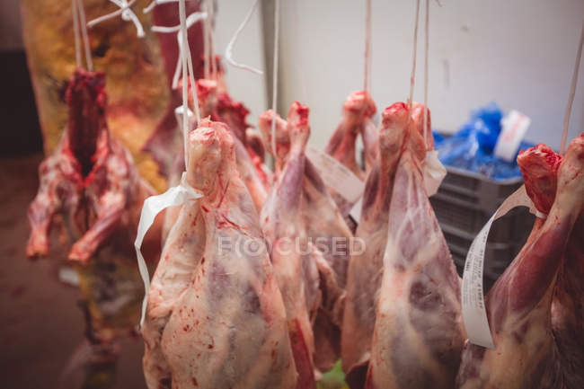 Очищене червоне м'ясо, що висить у сховищі в м'ясному магазині — стокове фото