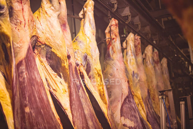 Viande rouge pelée suspendue dans la salle de stockage à la boucherie — Photo de stock