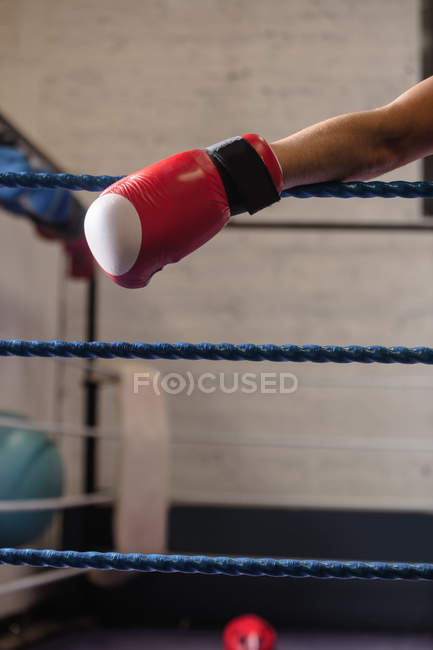 Cropped image of boxer leaning on ropes of boxer ring — Stock Photo