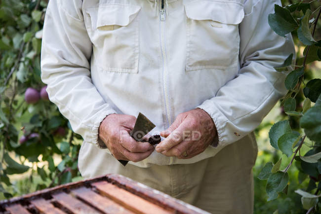 Parte central do apicultor que trabalha no jardim apiário — Fotografia de Stock