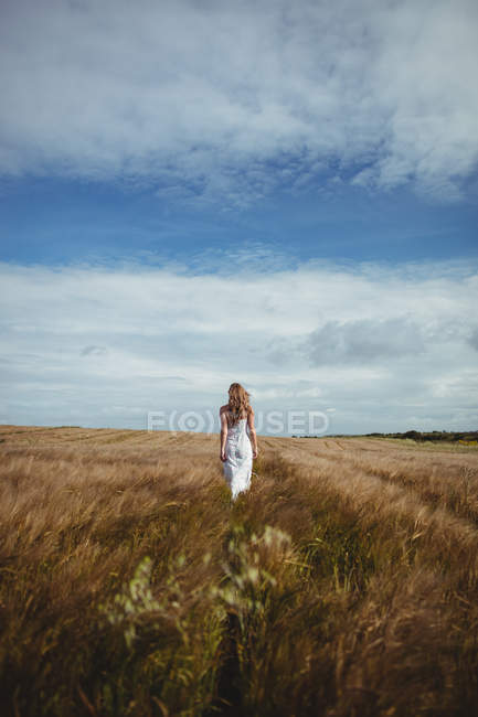 Вид сзади на женщину, идущую по пшеничному полю в солнечный день — стоковое фото