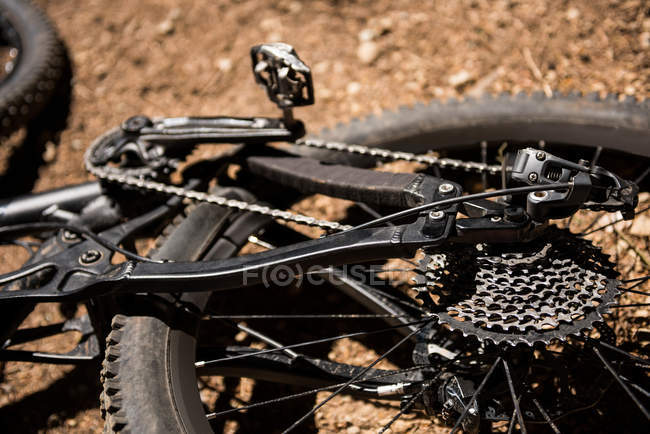 Primo piano del dettaglio della bicicletta nella foresta alla luce del sole — Foto stock