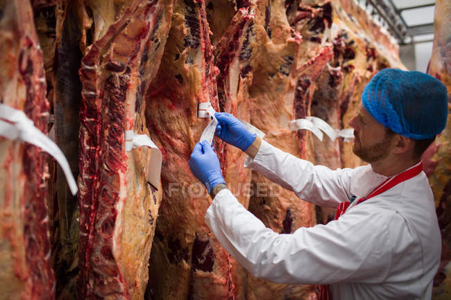 Boucher mettre une étiquette sur la viande rouge suspendue dans la salle de stockage à la boucherie — Photo de stock