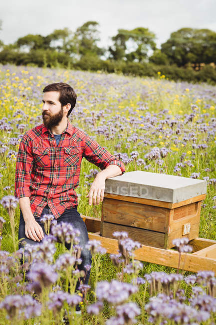 Retrato de apicultor sentado na colmeia no campo de flores — Fotografia de Stock