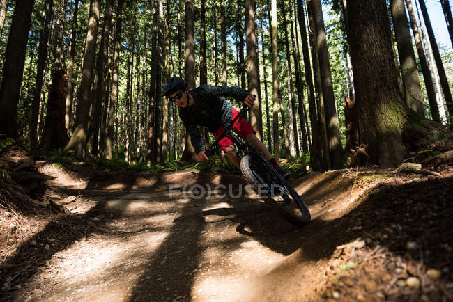 Junge Radfahrerin radelt bei Sonneneinstrahlung im Wald — Stockfoto