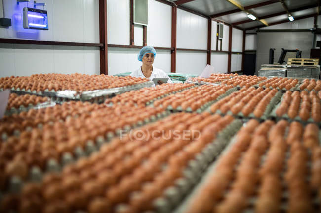 Travailleur féminin utilisant une tablette numérique dans une usine d'œufs — Photo de stock