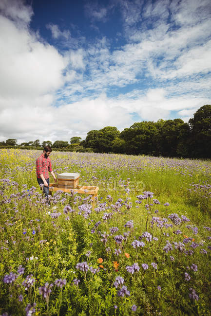 Imker schaut sich Bienenstock im Blumenfeld an — Stockfoto