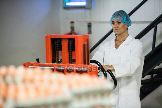 Female staff loading carton of eggs on pallet jack in egg factory — Stock Photo
