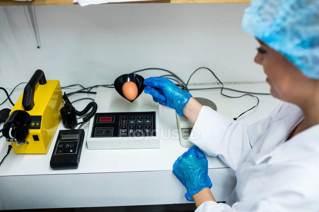 Mitarbeiterinnen untersuchen Ei auf digitalem Ei-Monitor in Eierfabrik — Stockfoto