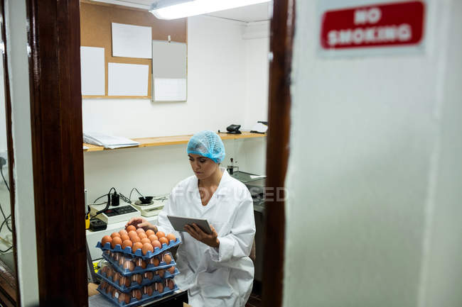 Женщины-сотрудники используют цифровые планшеты во время работы на яйцефабрике — стоковое фото