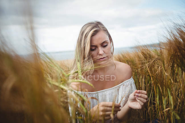 Mulher tocando colheita de trigo no campo no dia ensolarado — Fotografia de Stock