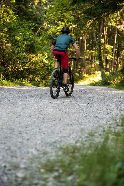 Rear view of male cyclist cycling in forest on a sunny day — Stock Photo