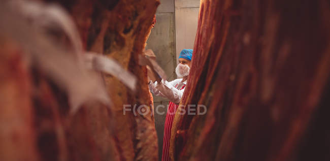 Boucher examinant la viande rouge suspendue dans la salle de stockage à la boucherie — Photo de stock